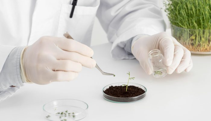 man-lab-doing-experiments-sprout-close-up