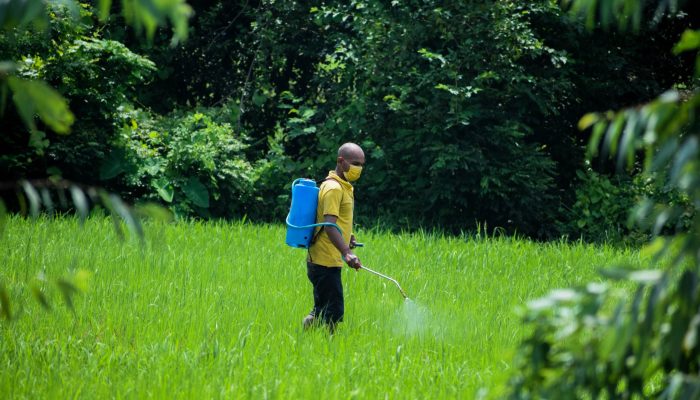 pexels-prakash-aryal-10806264